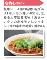 飯塚レース名物B級グルメ「ホルモン丼」