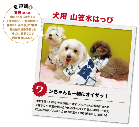 メイン写真