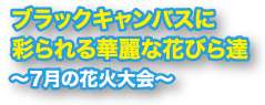 7月の花火大会