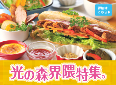 光の森界隈特集