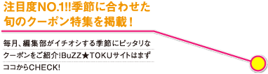 注目度NO.1!!季節に合わせた旬のクーポン特集を掲載! 毎月、編集部がイチオシする季節にピッタリなクーポンをご紹介!Buzz★TOKUサイトはまずココからCHECK!
